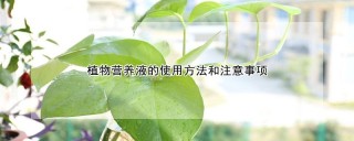 植物营养液的使用方法和注意事项,第1图