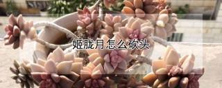 姬胧月怎么砍头,第1图