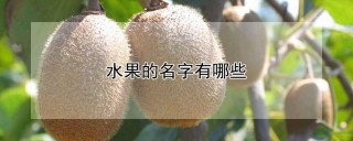 水果的名字有哪些,第1图