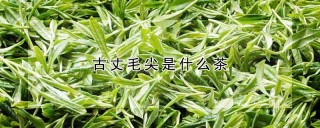 古丈毛尖是什么茶,第1图