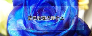 蓝色玫瑰代表什么,第1图