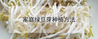 家庭绿豆芽种植方法,第1图