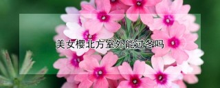 美女樱北方室外能过冬吗,第1图