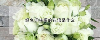 绿色洋桔梗的花语是什么,第1图