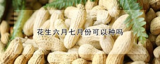 花生六月七月份可以种吗,第1图