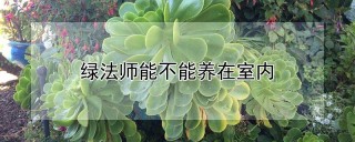 绿法师能不能养在室内,第1图