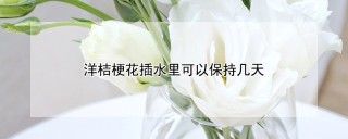 洋桔梗花插水里可以保持几天,第1图