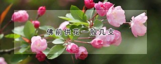 佛前供花一般几支,第1图