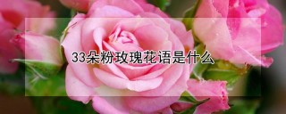 33朵粉玫瑰花语是什么,第1图