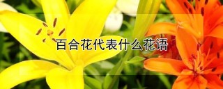 百合花代表什么花语,第1图