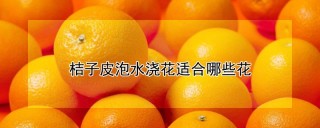 桔子皮泡水浇花适合哪些花,第1图