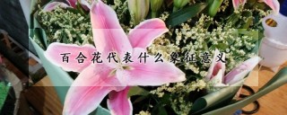 百合花代表什么象征意义,第1图