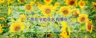 不带花字的花名有哪些?,第1图