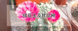 绯花玉及其品种,第1图