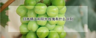 日本晴王和阳光玫瑰有什么区别,第1图