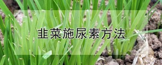 韭菜施尿素方法,第1图