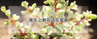 雅乐之舞花语及寓意,第1图