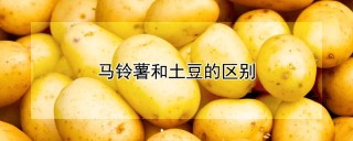 马铃薯和土豆的区别,第1图