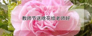 教师节送啥花给老师好,第1图