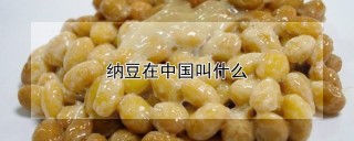 纳豆在中国叫什么,第1图