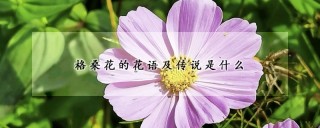 格桑花的花语及传说是什么,第1图