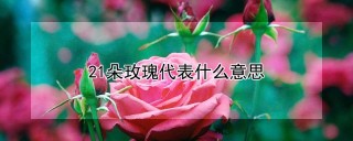 21朵玫瑰代表什么意思,第1图