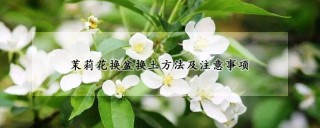 茉莉花换盆换土方法及注意事项,第1图