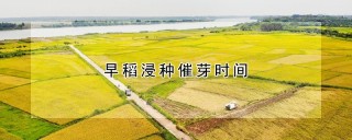 早稻浸种催芽时间,第1图