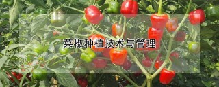 菜椒种植技术与管理,第1图