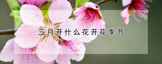 三月开什么花开花季节,第1图