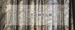 门口不能种什么树,第1图