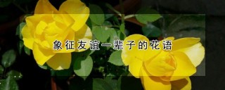 象征友谊一辈子的花语,第1图