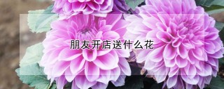 朋友开店送什么花,第1图