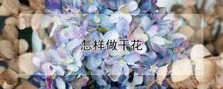 怎样做干花,第1图