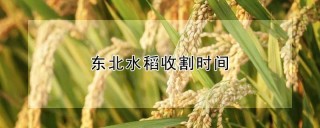 东北水稻收割时间,第1图