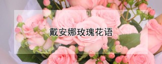 戴安娜玫瑰花语,第1图