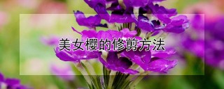 美女樱的修剪方法,第1图