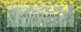 常年开花的蜜源植物,第1图