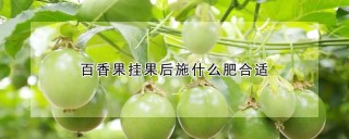 百香果挂果后施什么肥合适,第1图