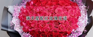 满天星配红玫瑰花语,第1图