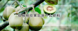 猕猴桃挂果后施什么肥料,第1图