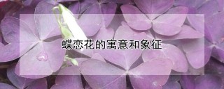 蝶恋花的寓意和象征,第1图