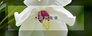 木兰花寓意,第1图