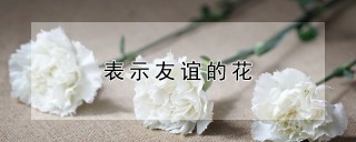 表示友谊的花,第1图