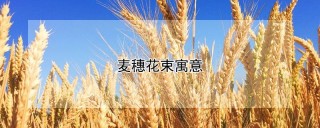 麦穗花束寓意,第1图