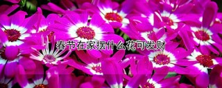 春节在家摆什么花可发财,第1图