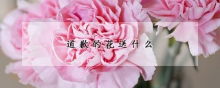 道歉的花送什么,第1图