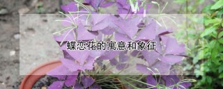 蝶恋花的寓意和象征,第1图