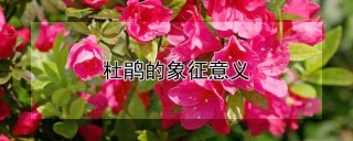 杜鹃的象征意义,第1图