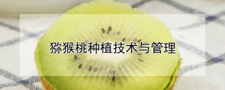 猕猴桃种植技术与管理,第1图